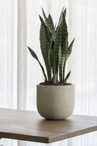 Pflanzkübel Blumentopf Fiberzement CALDO Dünenbeige