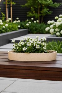 Pflanzschale SOLENA Fiberglas 35x20x5 cm Beige