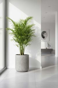 Blumentopf Pflanztopf Fiberglas CHICO Vesuvgrau Blumentopf Pflanztopf Fiberglas CHICO Vesuvgrau