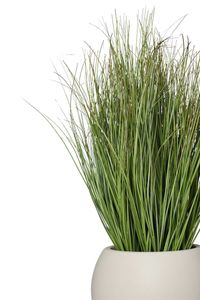 Kunstpflanze Kunstgras im Dekotopf Kunststoff TRAVA