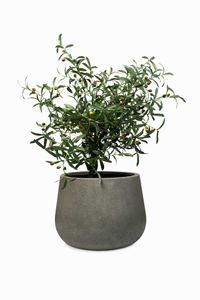 Pflanztopf Blumentopf Fiberglas GIRAR Vesuvgrau