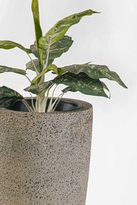 Pflanzkübel Blumenkübel Fiberglas CITY creme rough