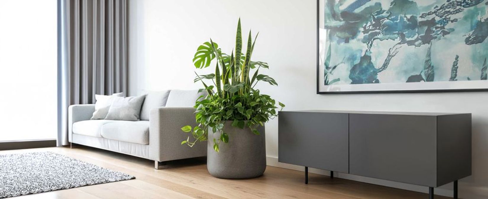 Pflanzkübel rund grau im Wohnzimmer