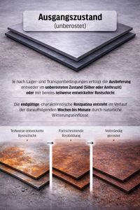 Pflanzkübel Blumenkübel konisch rund Cortenstahl CONE Rostbraun