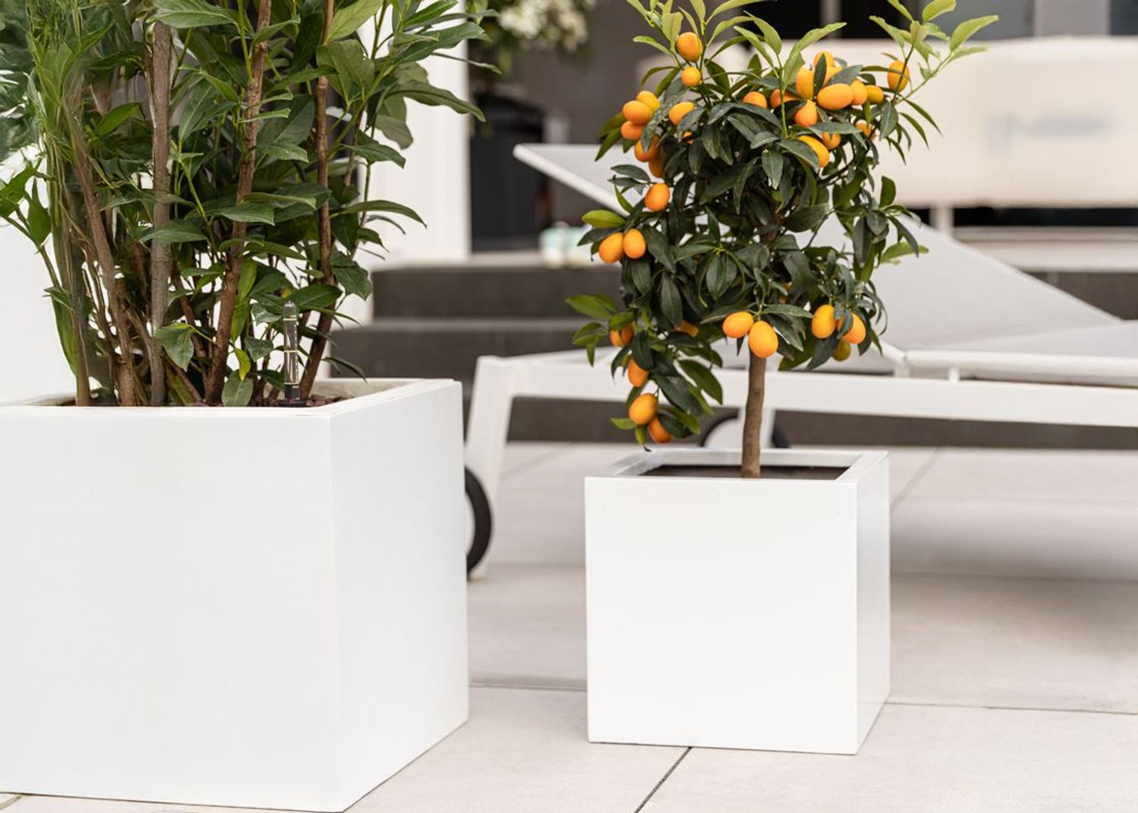 VIVANNO Pflanzkübel weiß Terrasse