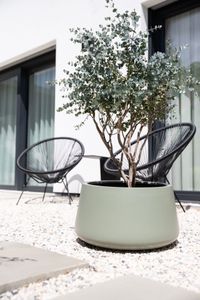 Pflanztopf Pflanzkübel Fiberglas GORDO Grau