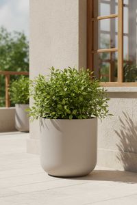 Blumentopf Pflanzkübel Fiberglas CHICO creme