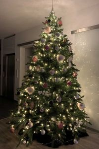 Künstlicher Premium Weihnachtsbaum Nordmanntanne LED, 240 cm hoch Künstlicher Premium Weihnachtsbaum Nordmanntanne LED, 240 cm hoch