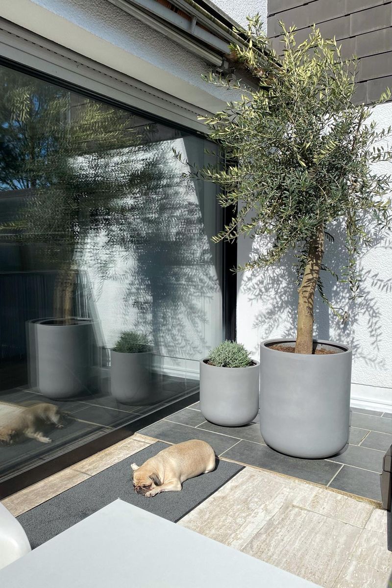 Blumentopf Pflanztopf Fiberglas CHICO Beton-Design Grau | 40x40 cm | 17101214040