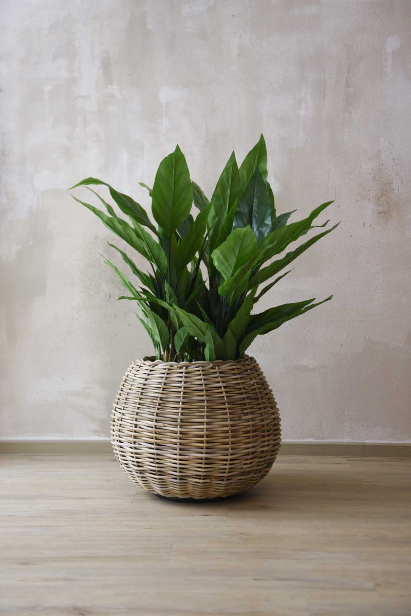 Pflanzkorb Dekokorb Rattan PALLA Grau Natur | 55x44 cm | 30545710155