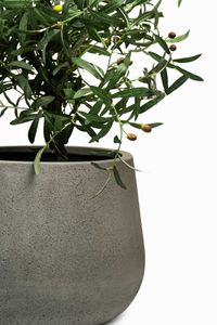 Pflanztopf Blumentopf Fiberglas GIRAR Vesuvgrau