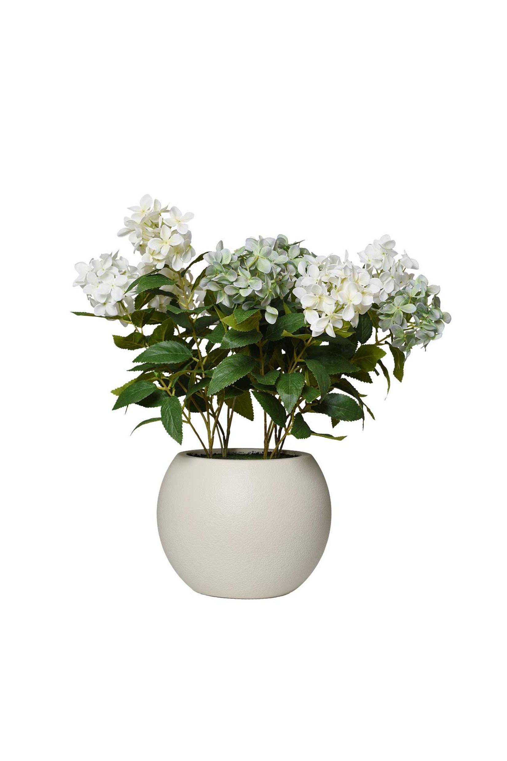 Kunstpflanze Hortensie im Topf Kunststoff HYDRANGA creme Kunstpflanze Hortensie im Topf Kunststoff HYDRANGA creme