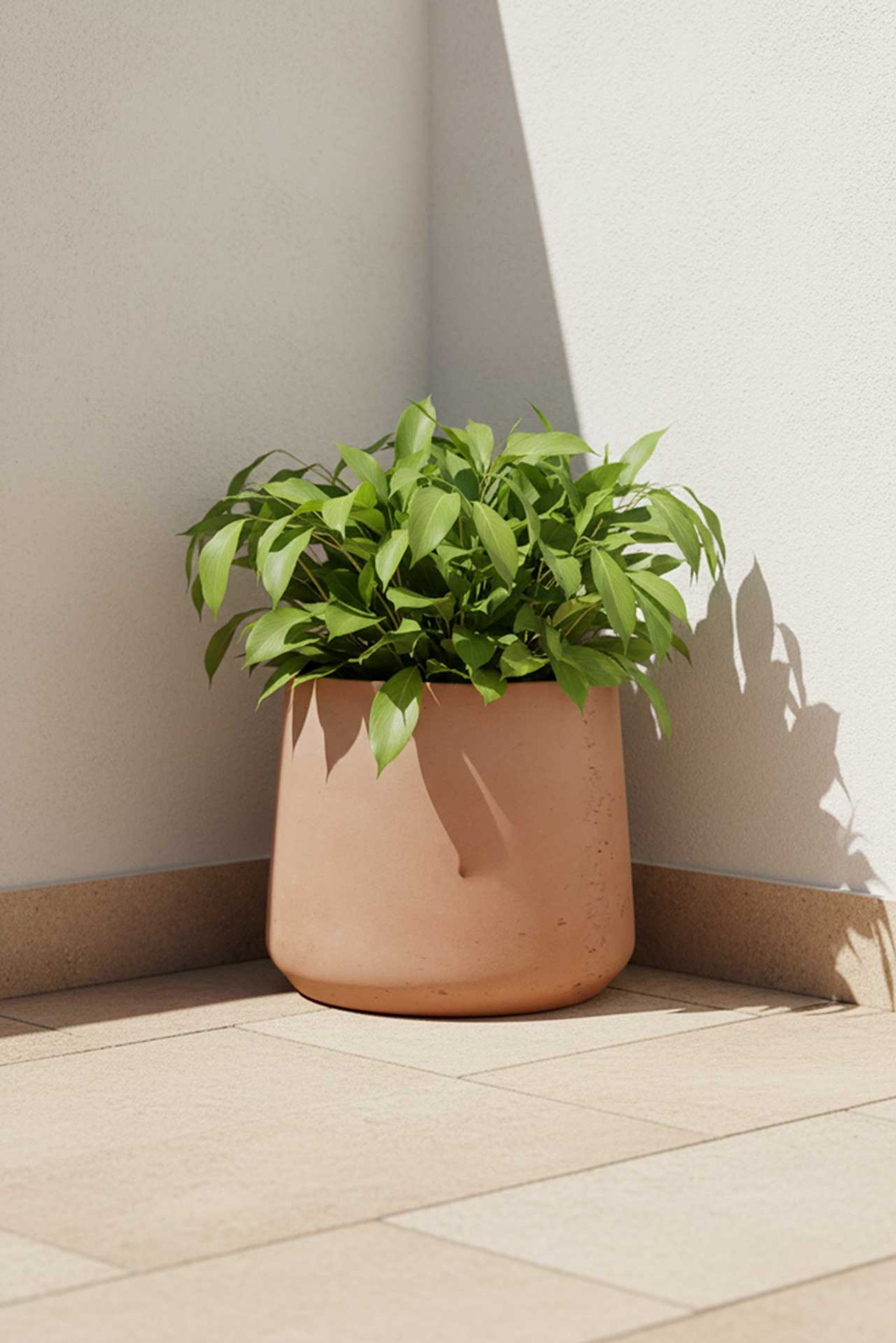 Blumentopf Fiberglas TROPICO Vulkanapricot