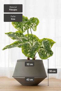 Pflanztopf Pflanzkübel Fiberglas BERBELIT cm Beton-Design Grau