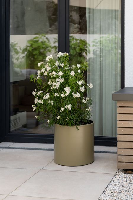 kerzenhalter holz Design PINE von The Oak Men Entdecke 48 Teller anrichten🍛