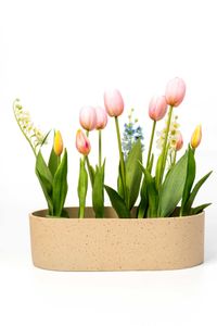 Pflanzschale Dekoschale Fiberglas SOLENA Arbanecreme