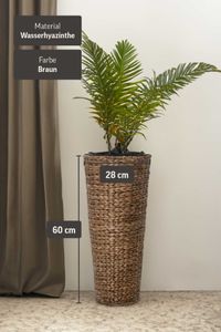 Pflanzkübel Blumenkübel Wasserhyazinthe "Classic Round", Braun