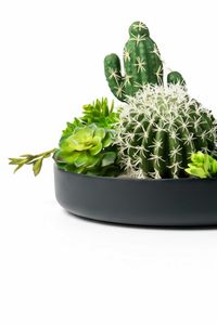 Pflanzschale Dekoschale Fiberglas ORYVEN Anthrazit