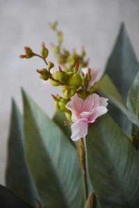 Kunstpflanze Blumenrohr in cremefarbenem Dekotopf CANNA rosa