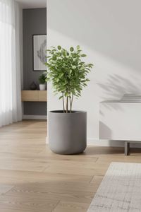 Blumentopf Pflanztopf Fiberglas CHICO Beton-Design Grau Blumentopf Pflanztopf Fiberglas CHICO Beton-Design Grau