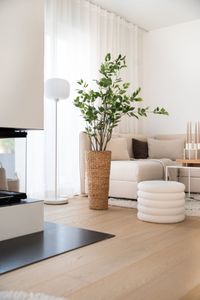 Kunstpflanze Gummibaum Ficus ALBERO im schwarzen Kunststofftopf