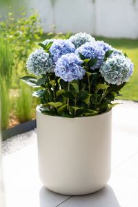 Blumentopf Pflanzkübel Fiberglas CHICO creme