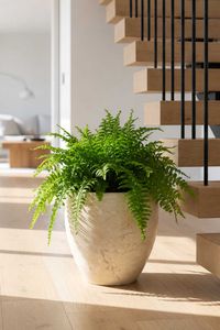 Blumentopf Fiberglas ANIRA 45x46 cm Beige