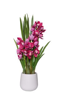 Kunstpflanze Orchidee Cymbidium im cremefarbenen Dekotopf ORCHIDEA pink