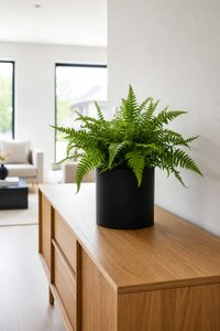 Blumentopf NEW RONDO Fiberglas 29x29 cm Schwarz