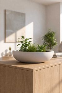 Pflanzschale Blumenschale Dekoschale Fiberglas PLANA weiß