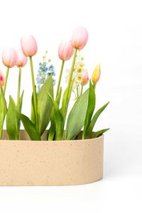 Pflanzschale Dekoschale Fiberglas SOLENA Arbanecreme