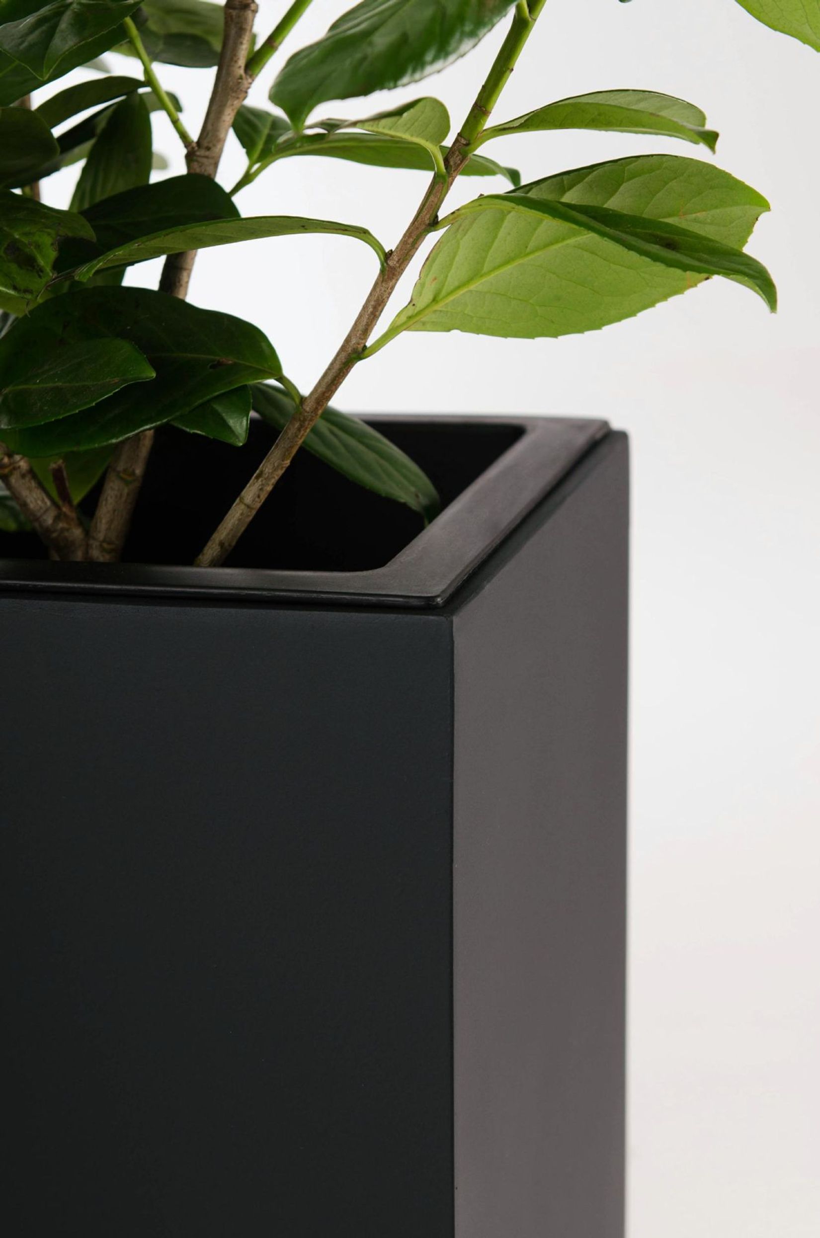 Pflanzkübel Raumteiler Fiberglas "Elemento", Anthrazit