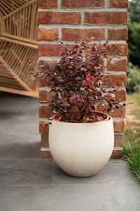 Pflanzkübel Blumentopf Fiberglas RAFIOT Creme