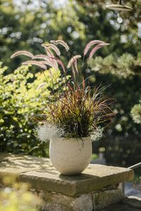 Pflanzkübel Blumentopf Fiberglas RAFIOT Creme