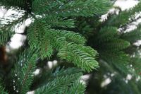 kuenstlicher-tannenbaum-weihnachtsbaum-nordmann-premium-vivanno-240-5 Künstlicher Weihnachtsbaum Premium Nordmanntanne, 240 cm hoch - Modell 2025