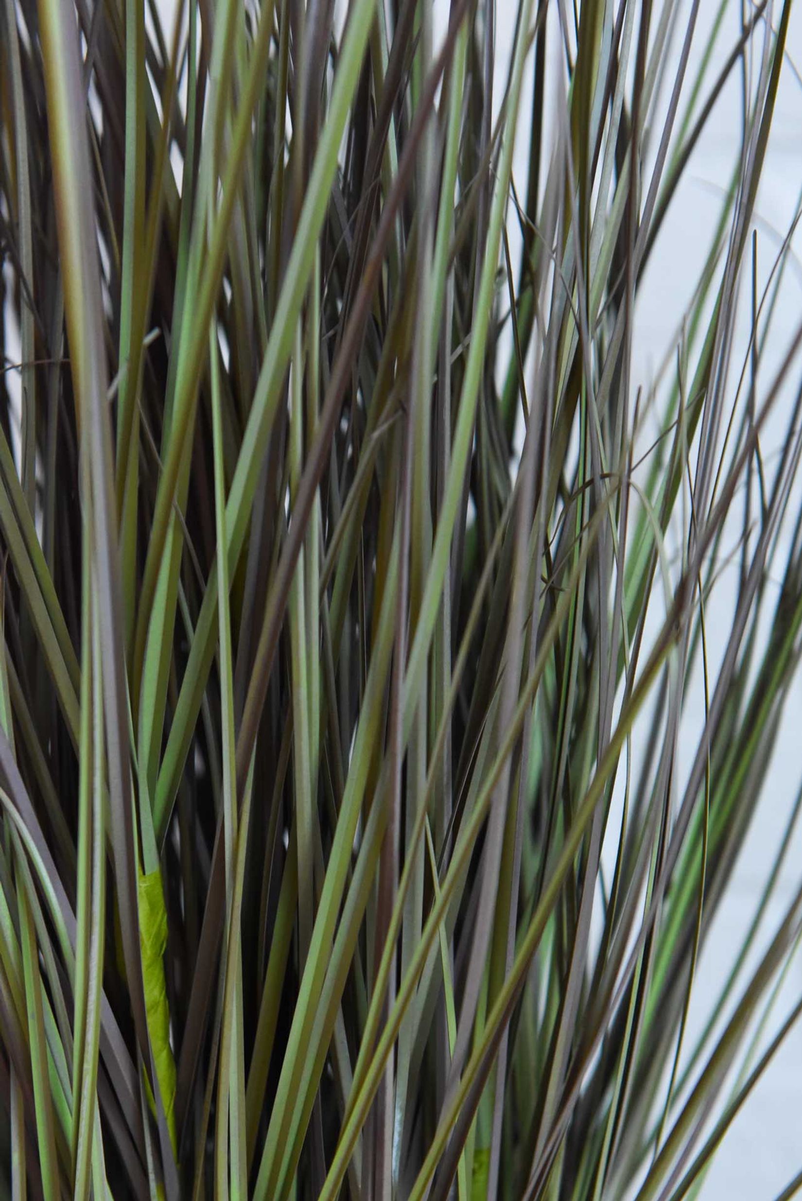 Kunstpflanze Kunstgras Kunststoff SEGGE Kunstpflanze Kunstgras Kunststoff SEGGE