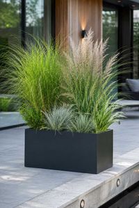 Pflanzkübel Pflanztrog Fiberglas "Maxi", Anthrazit