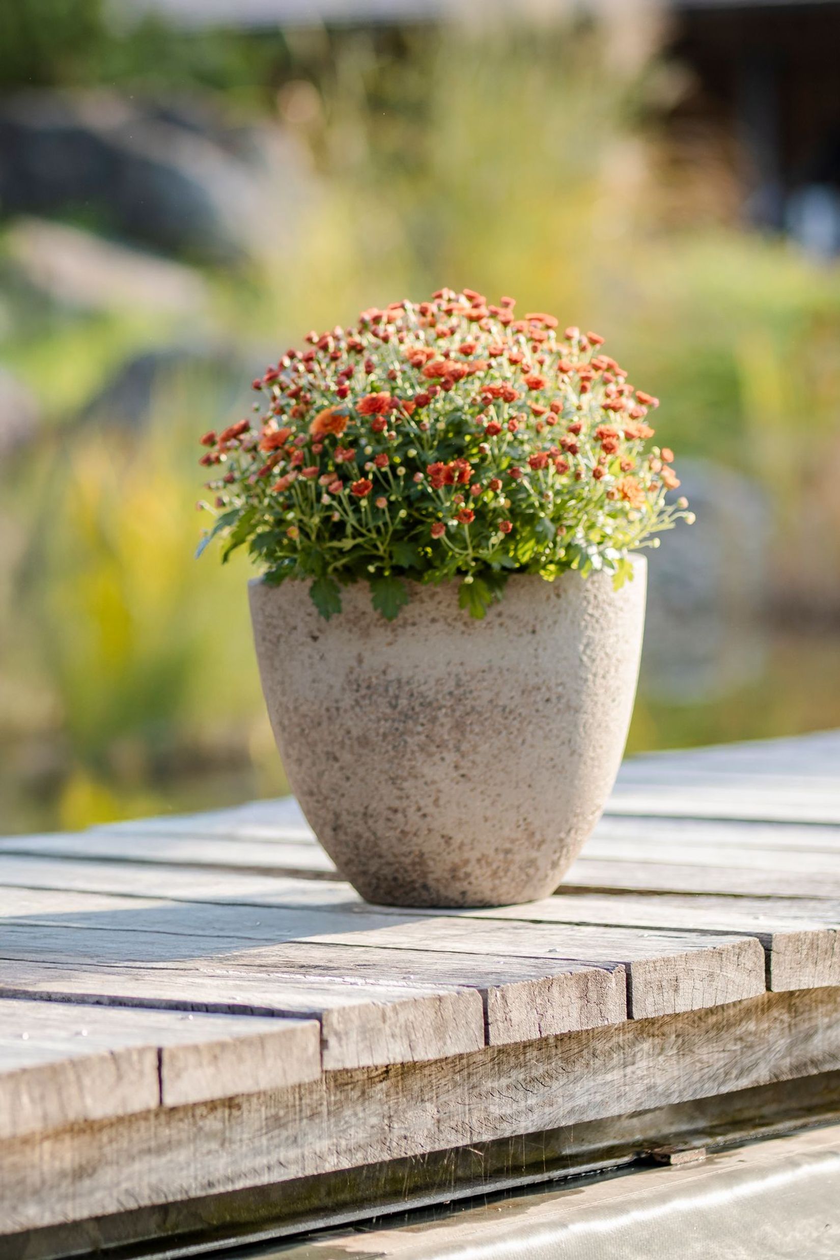 Pflanzkübel Blumentopf Fiberzement VIRINGO Erdgrau