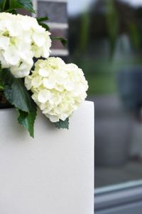 Pflanzkübel Blumenkübel Fiberzement BLOCK Säule Creme