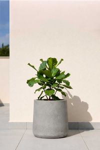 Blumentopf Pflanzkübel Fiberglas VEKRA Vesuvgrau