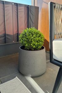 Blumentopf Pflanztopf Fiberglas TROPICO Anthrazit