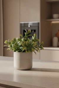 Blumentopf Pflanztopf Fiberglas CHICO Creme