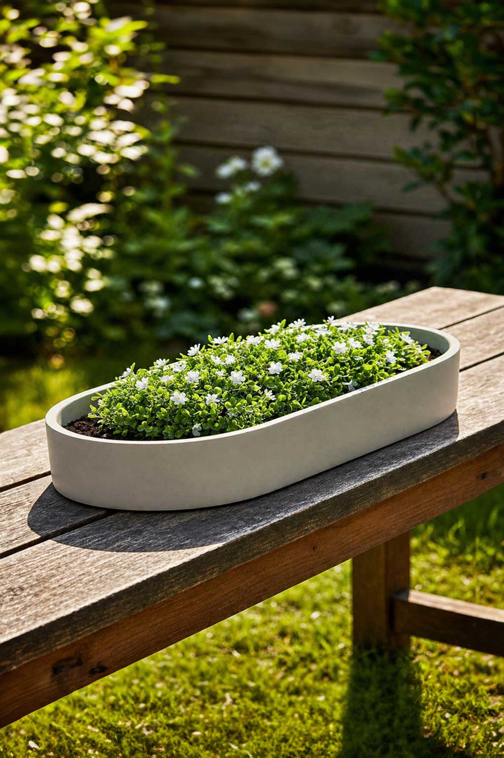 Pflanzschale Dekoschale SOLENA Fiberglas Betongrau