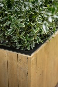 Pflanzkübel Pflanztrog Recycling Holz "Maxi", Antik Braun