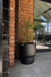 Pflanzkübel Pflanztopf Fiberglas LIVELLO Schwarz Matt