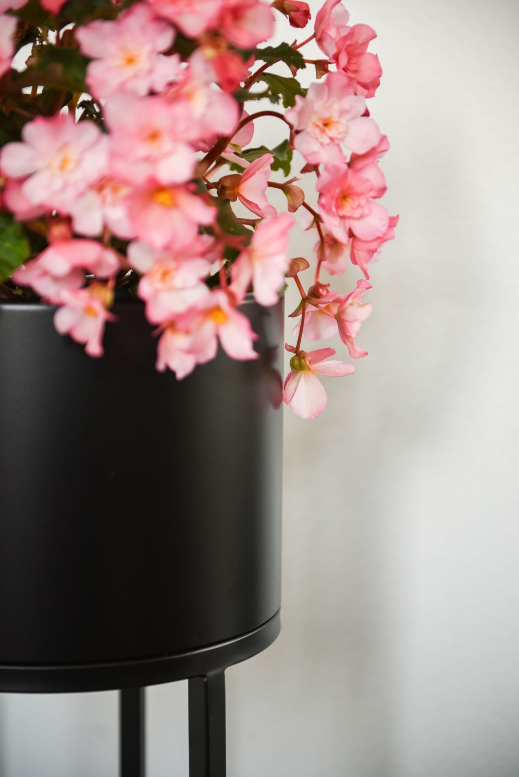 Blumentopf auf Ständer, mit Beinen  ELEVATE ROUND - Schwarz Matt