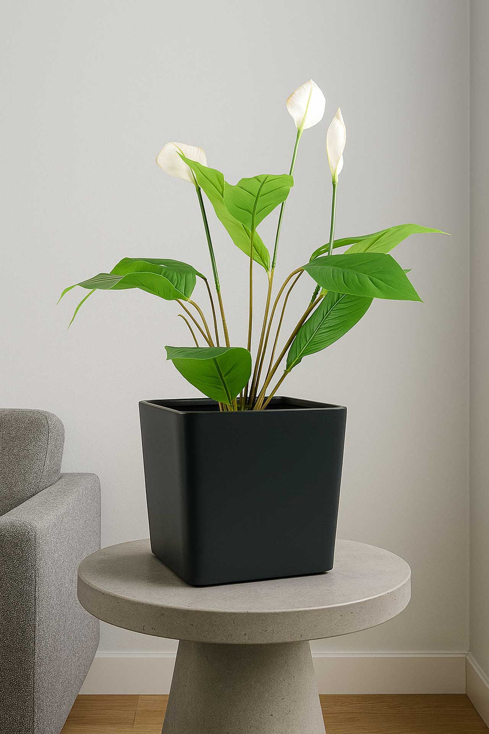 Pflanzkübel Blumenkübel Fiberglas CADRAT anthrazit 