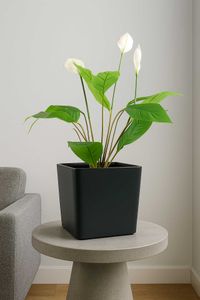 Pflanzkübel Blumenkübel Fiberglas CADRAT anthrazit 