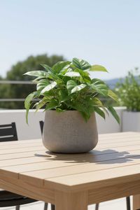 Pflanztopf Blumentopf Fiberglas GIRAR Vesuvgrau