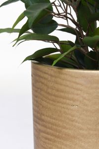 Blumentopf Pflanztopf Fiberglas CHICO gold